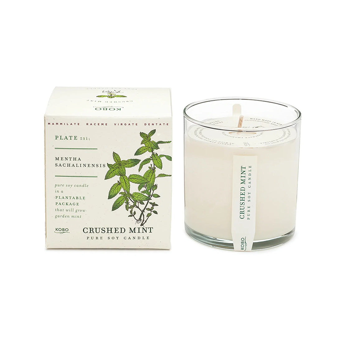 Crushed Mint Candle with Plantable Box