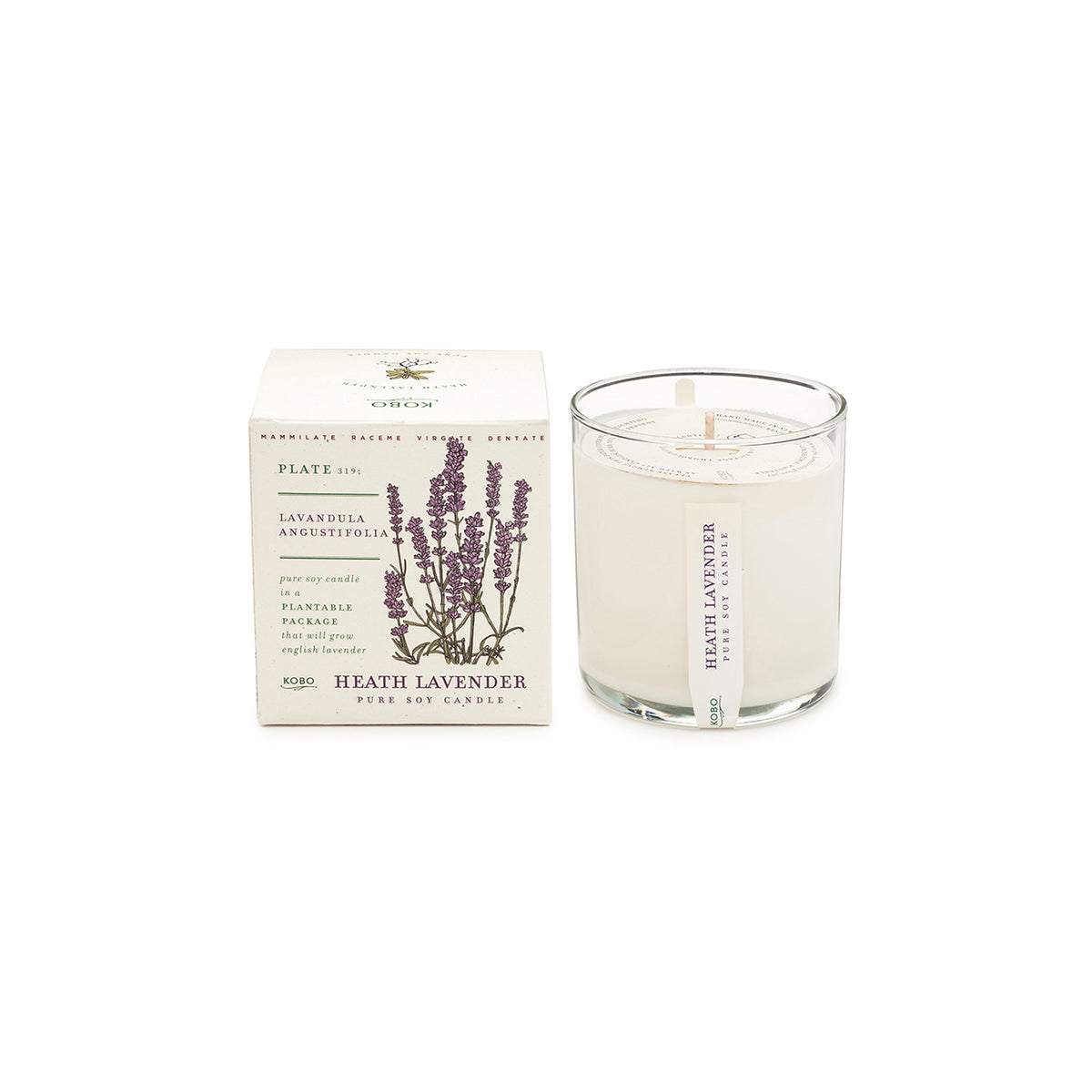 Lavender Candle with Plantable Box