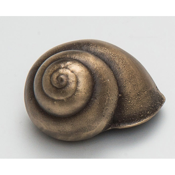 Different Snail Shells