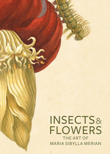 Insects and Flowers: The Art of Maria Sibylla Merian | Getty Store