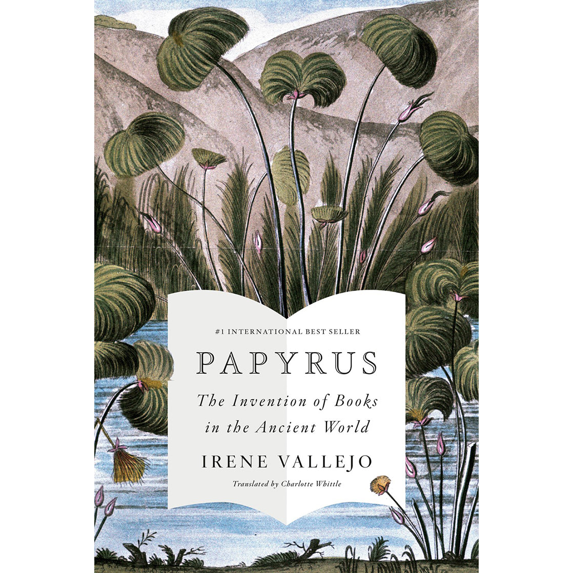 Papyrus: The Invention of Books in the Ancient World