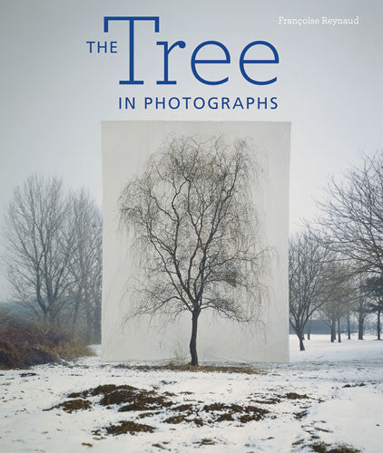 The Tree in Photographs | Getty Store