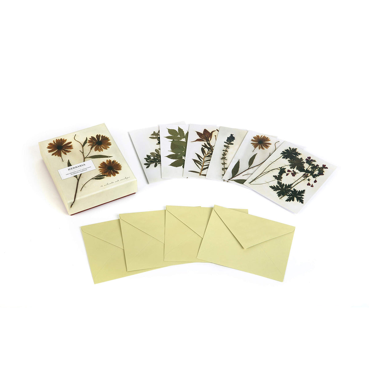 Herbaria Notecard Box