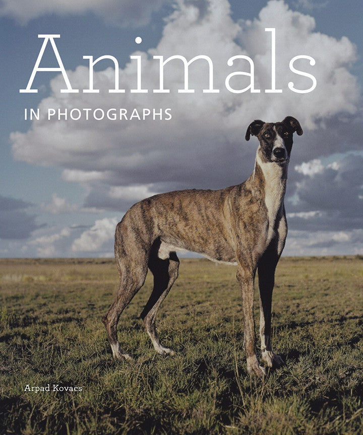 Animals in Photographs | Getty Store