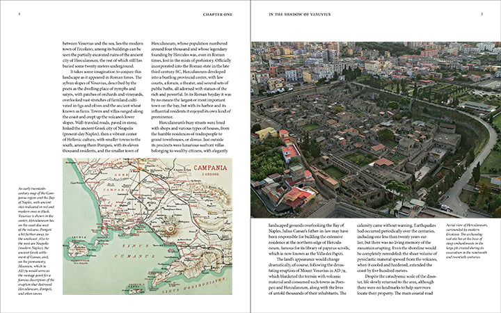 Herculaneum and the House of the Bicentenary: History and Heritage | Getty Store