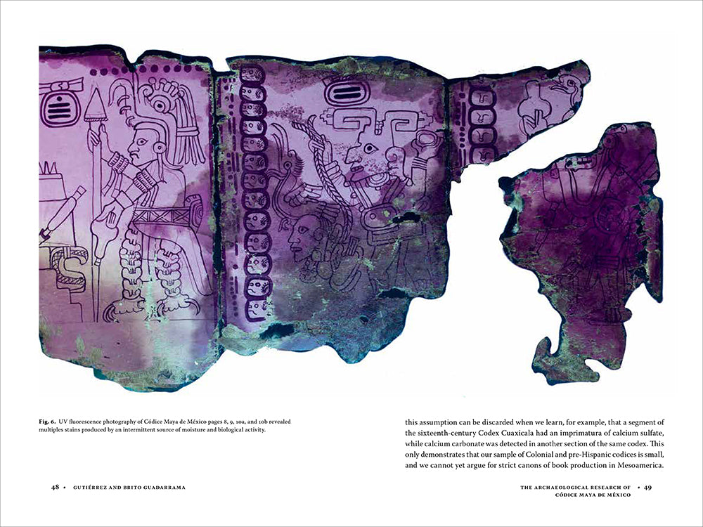 Códice Maya de México: Understanding the Oldest Surviving Book of the Americas