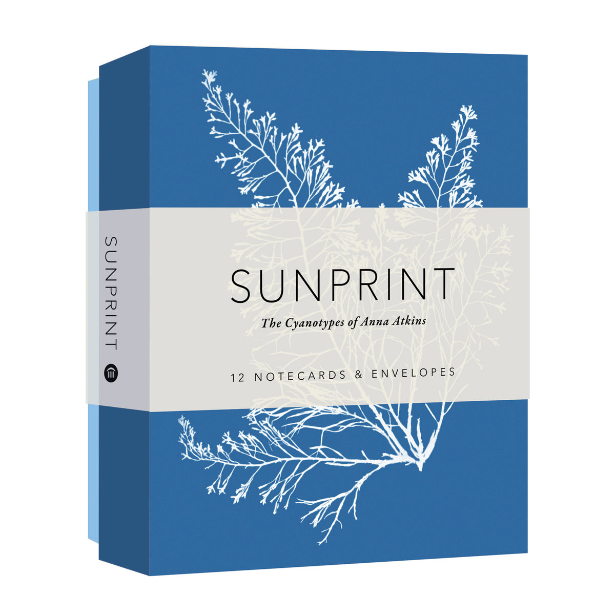 Sunprint Notecards: The Cyanotypes of Anna Atkins | Getty Store