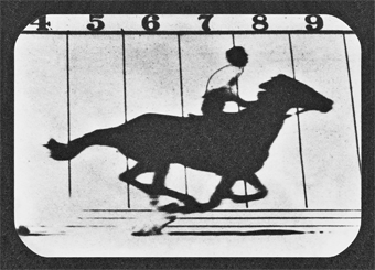 Lenticular Postcard-Galloping Horse | Getty Store