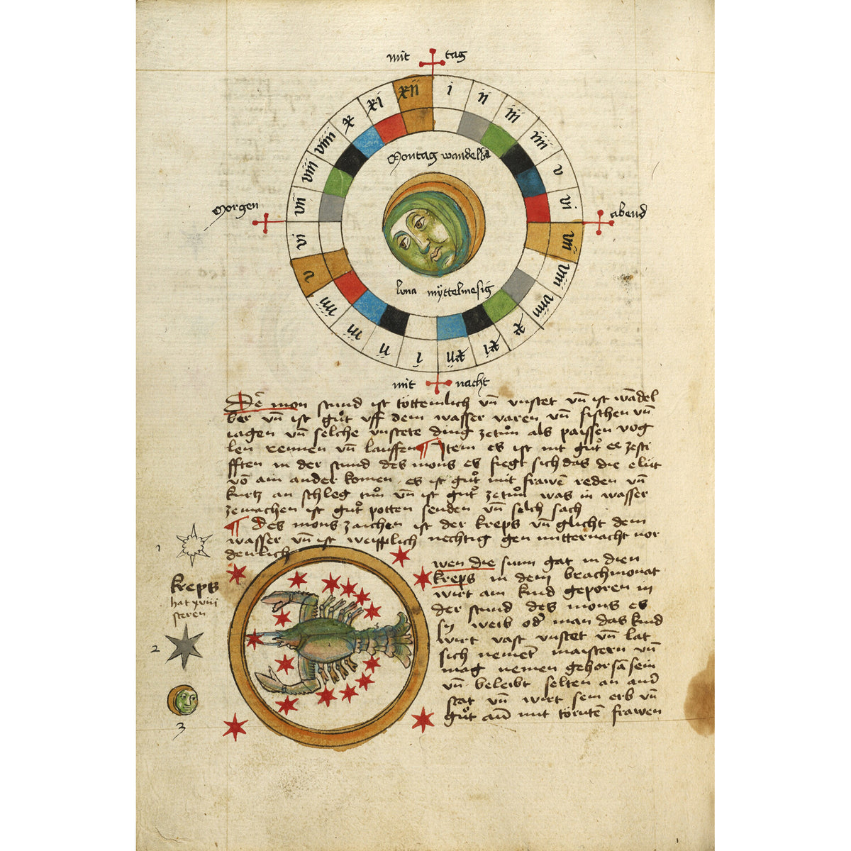 Square Zodiac Manuscript Silk Scarf