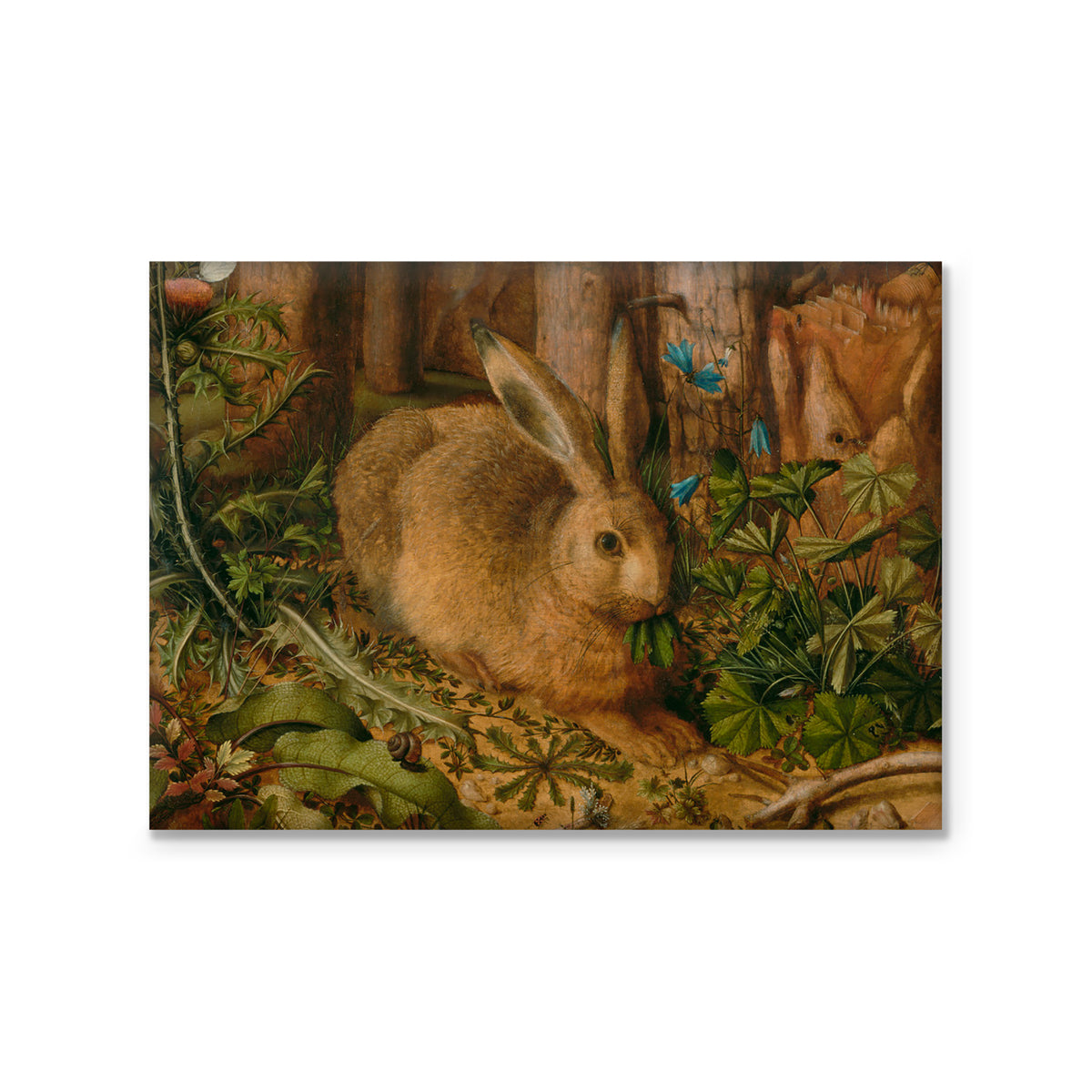 Magnet- Hoffmann&#39;s -A Hare in the Forest | Getty Store