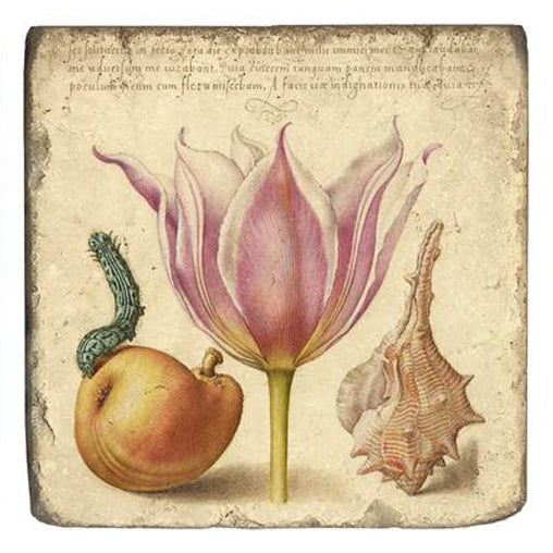 ブラジリエ　【秘密の庭】　lithograph Joris Hoefnagel Magnet - Getty Museum Store