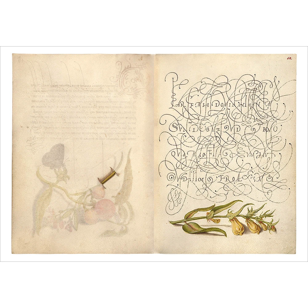 28 253 Calligraphie Illustrations - Getty Images