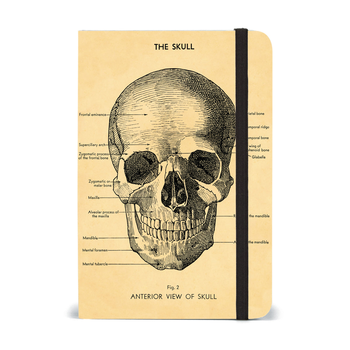 Small Skull Notebook