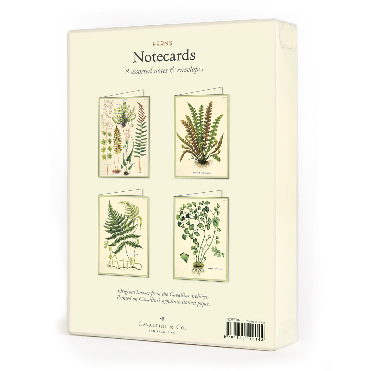Fern Boxed Notecards