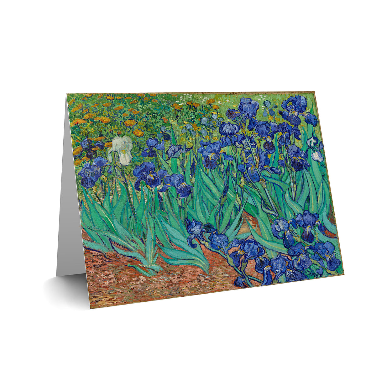 Van Gogh Irises Boxed Notecard Set