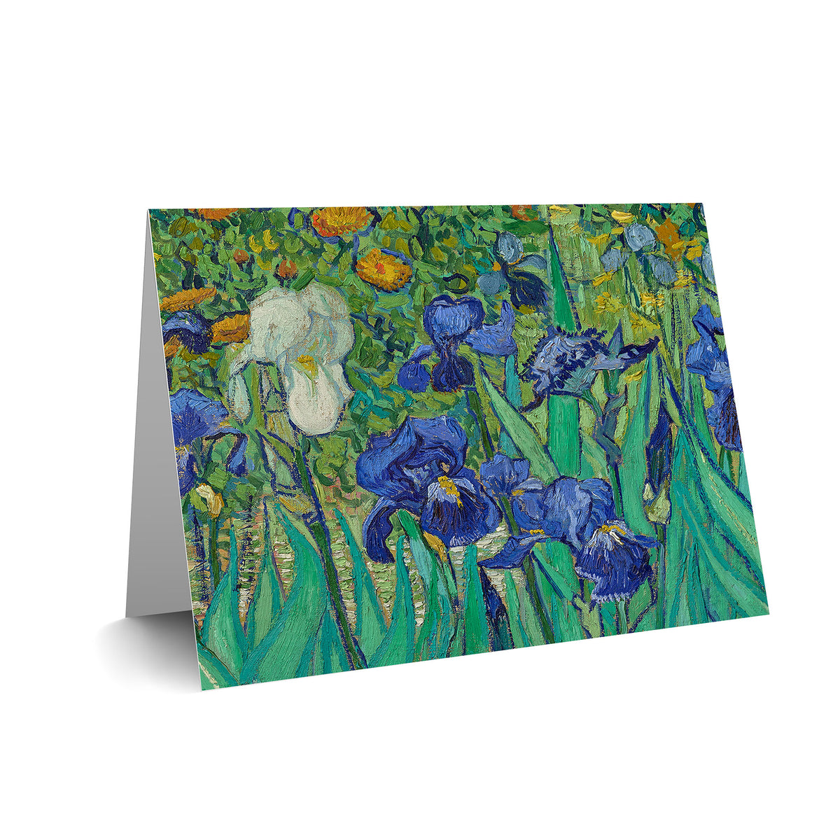 Van Gogh Irises Boxed Notecard Set