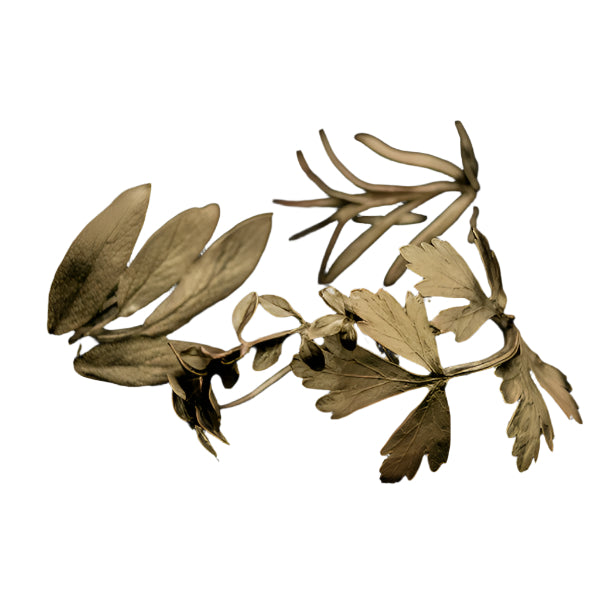 A set of 4 napkin rings designed to resemble herbs, with gold finishes, displayed against a white background.