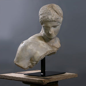 Discophorus Bust Sculpture - Getty Museum Store