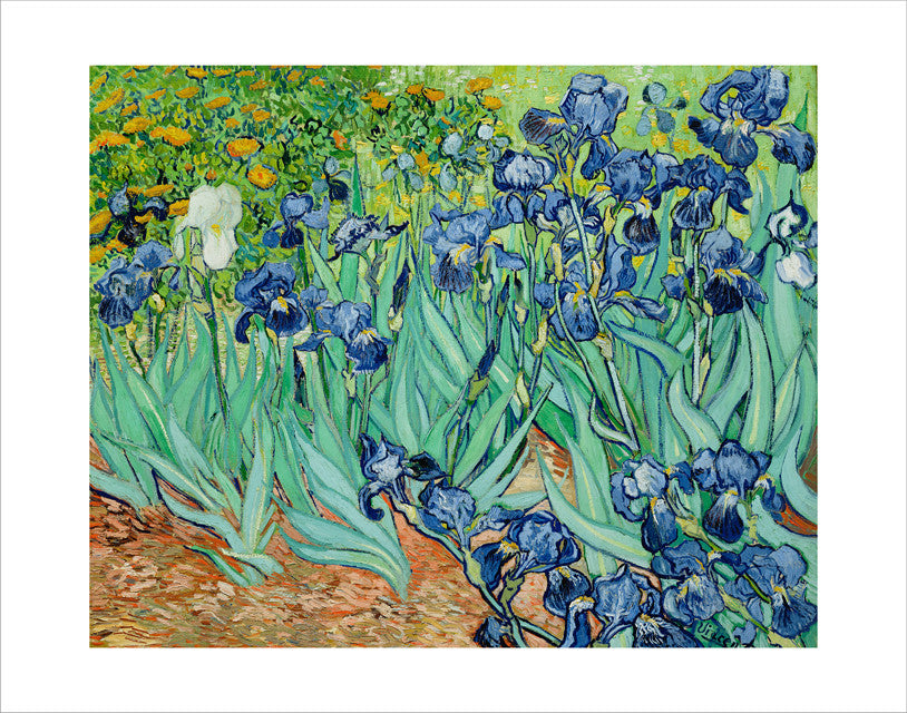 Van Gogh Irises - 11&quot;x14&quot; Print | Getty Store