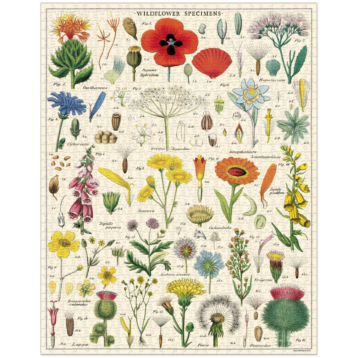 Wildflower Puzzle 1,000 Pieces Getty Museum Store