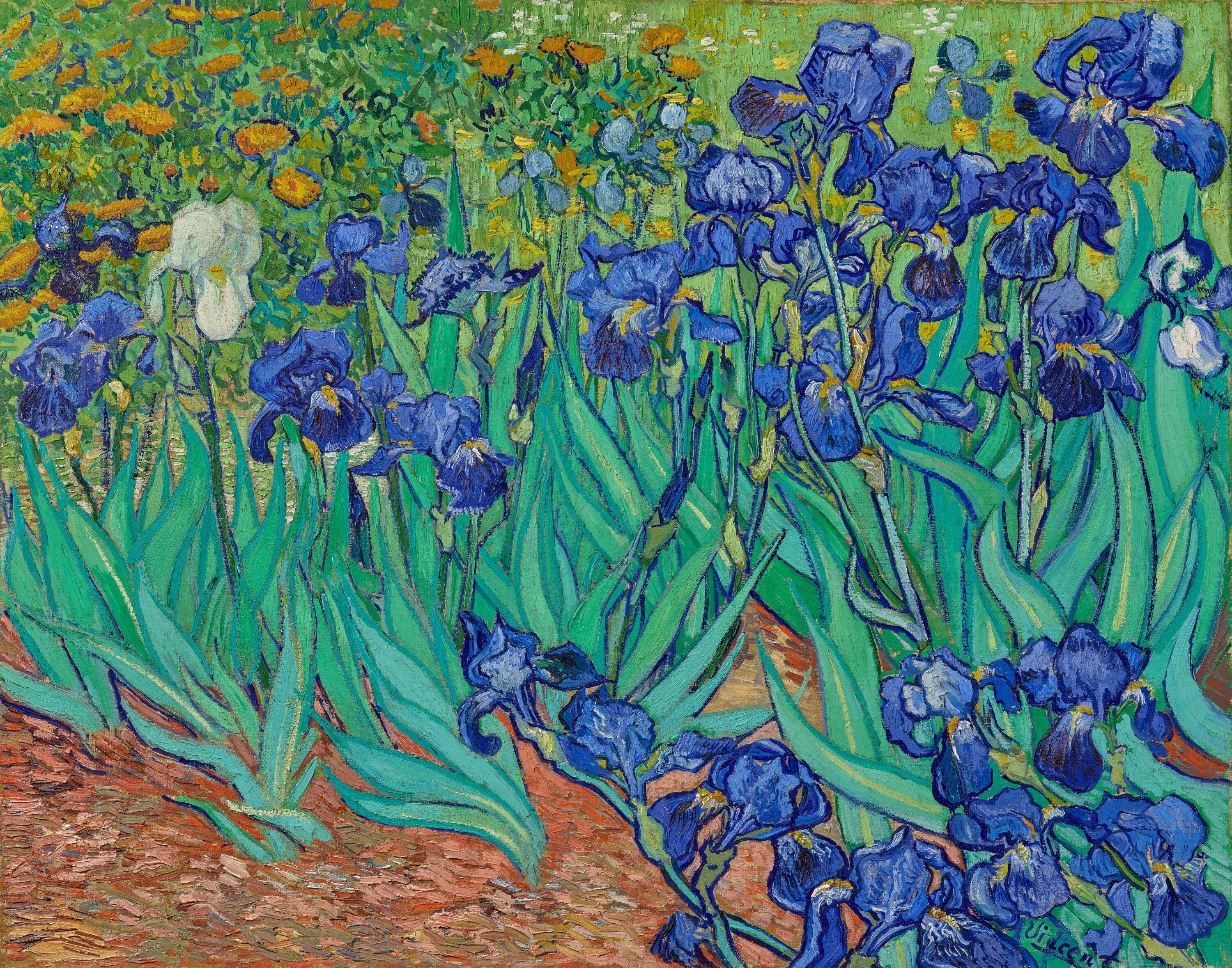 Van Gogh Irises Watch with Leather Band - Getty Museum Store
