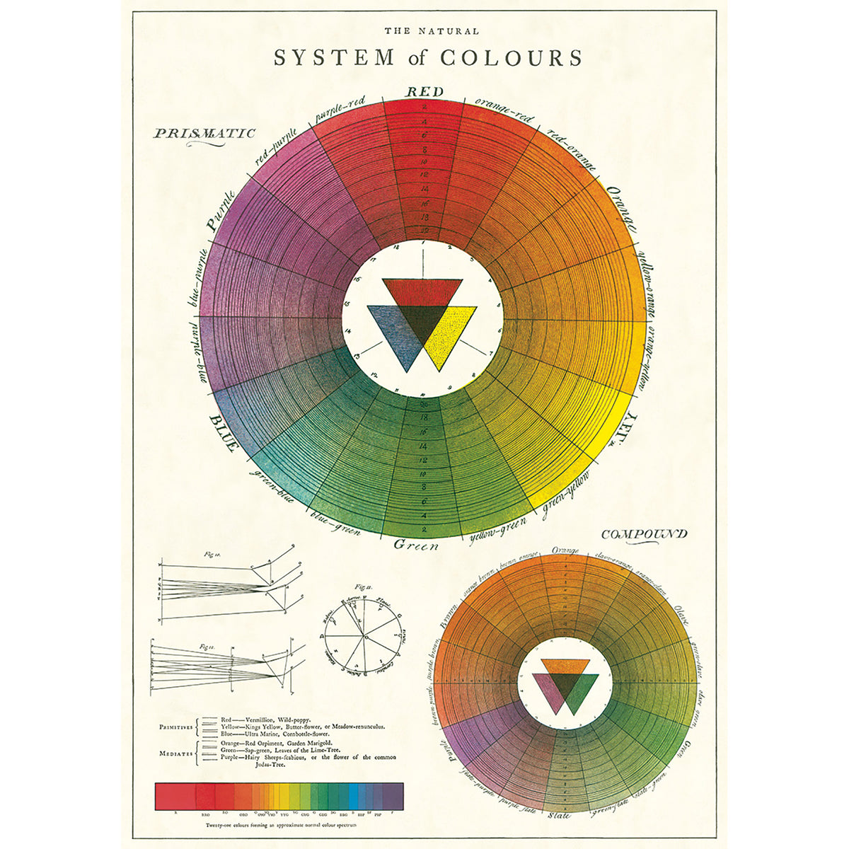 Color Wheel Poster/Gift Wrap