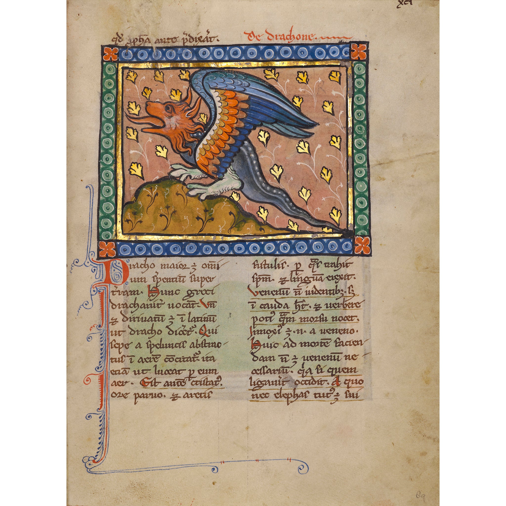 Dinosaur History -Dragons and Humanity 3 History of dragons