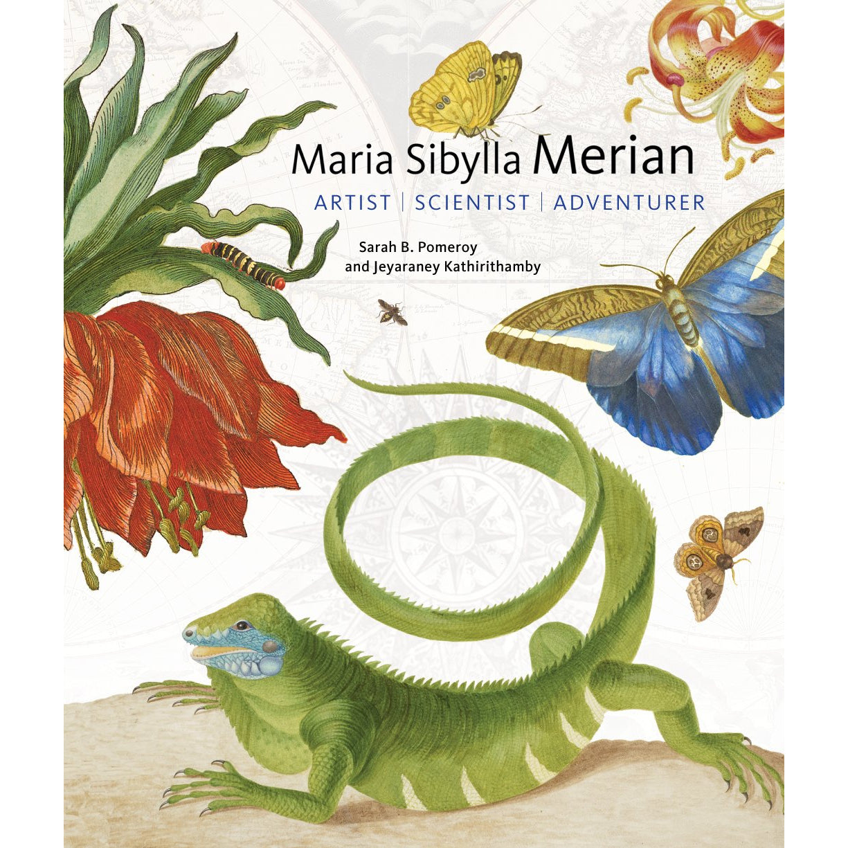 Maria Sibylla Merian: Artist, Scientist, Adventurer | Getty Store