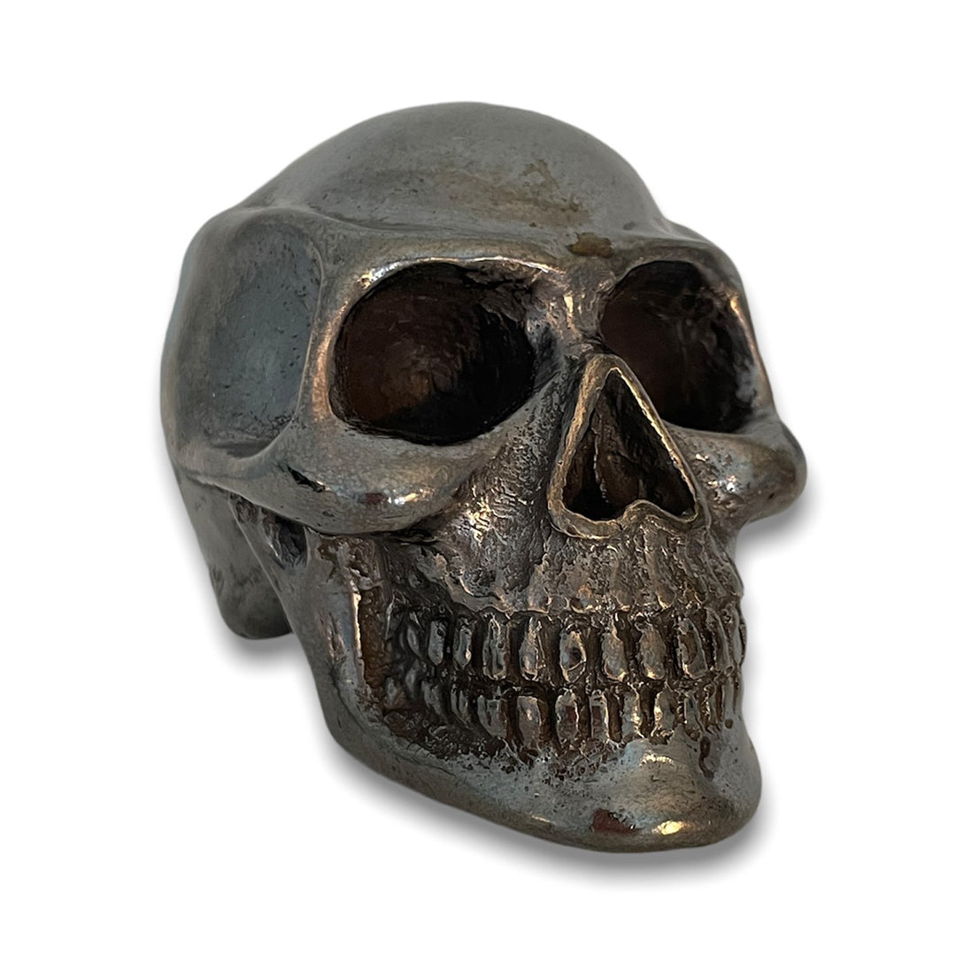 Cast Bronze Skull